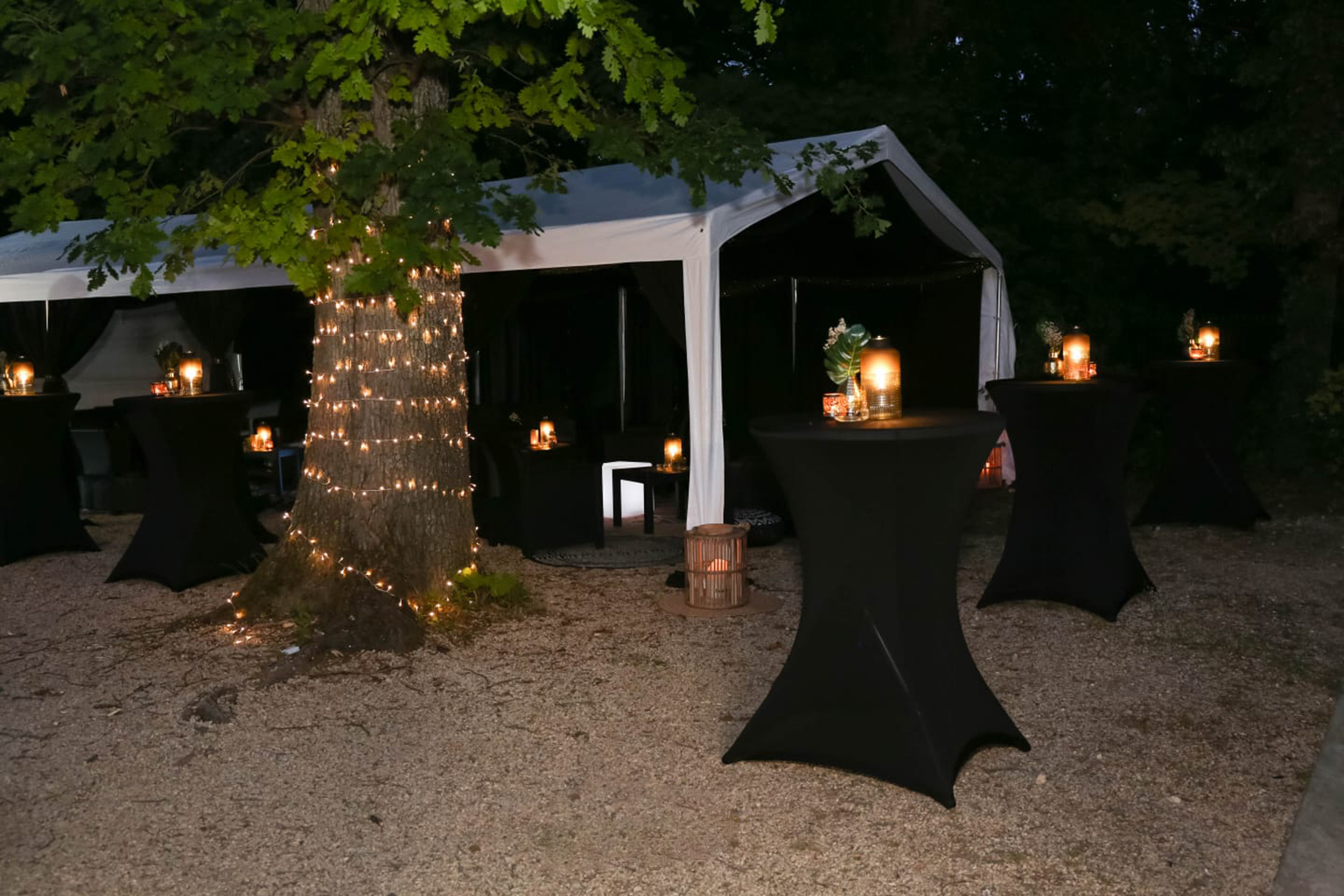 Soirée de gala entreprise